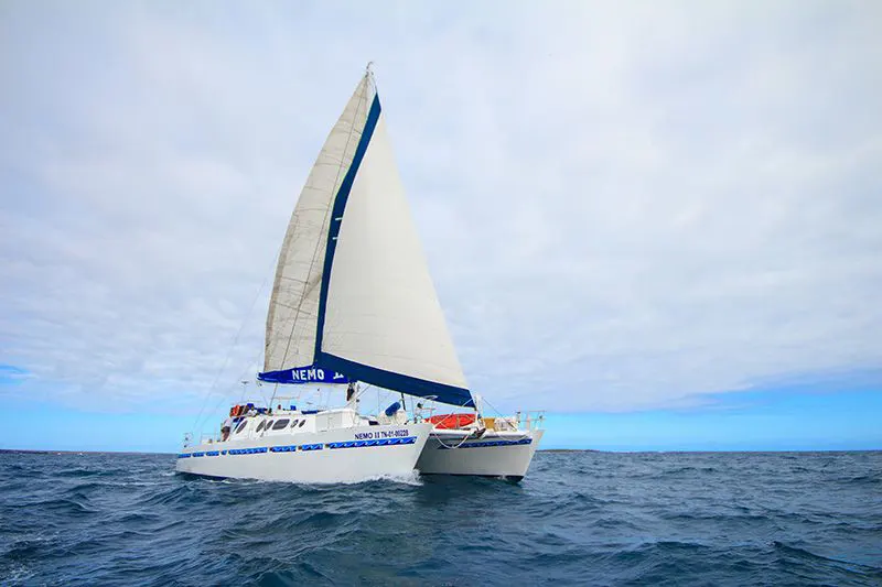 Nemo II motor sail catamaran